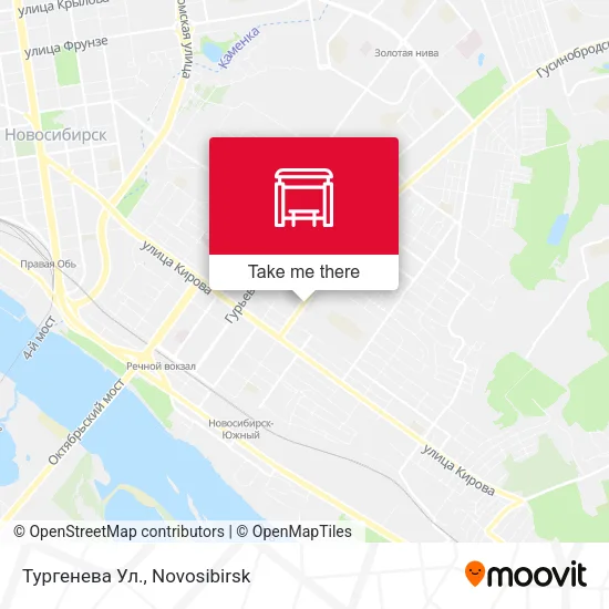 Тургенева Ул. map