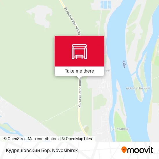 Кудряшовский Бор map