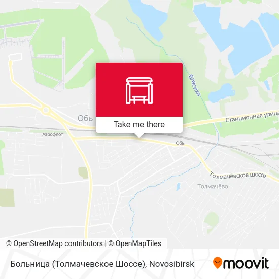 Больница (Толмачевское Шоссе) map