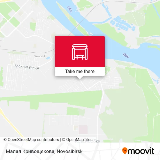 Малая Кривощекова map