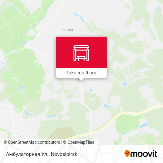 Амбулаторная Ул. map