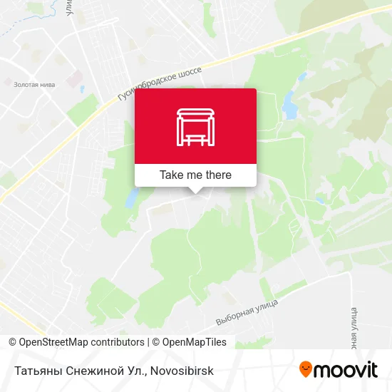 Татьяны Снежиной Ул. map