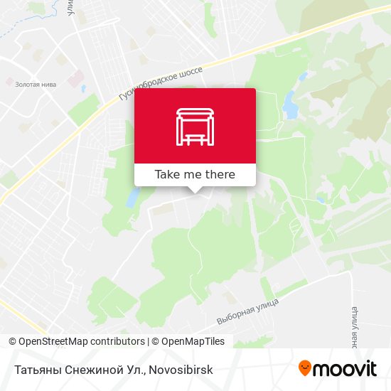 Татьяны Снежиной Ул. map