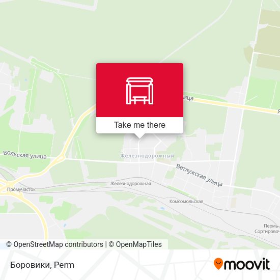 Боровики map