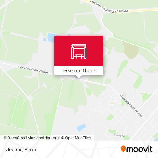 Лесная map