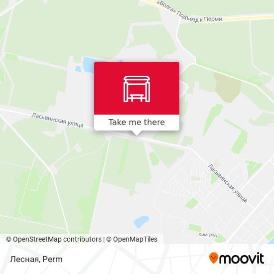 Лесная map