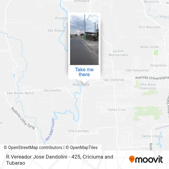 R.Vereador Jose Dandolini - 425 map