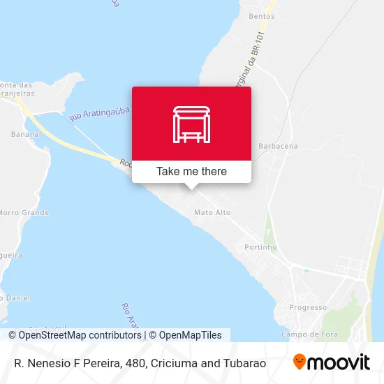 R. Nenesio F Pereira, 480 map