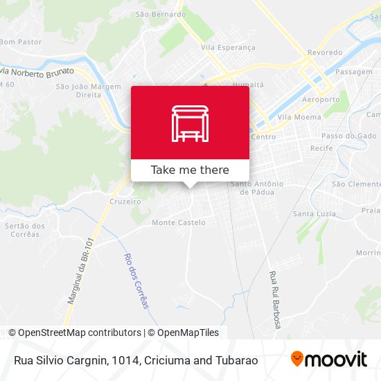 Mapa Rua Silvio Cargnin, 1014