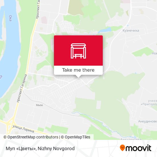 Муп «Цветы» map