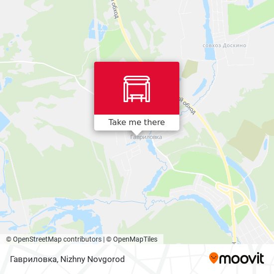 Гавриловка map