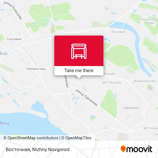 Восточная map