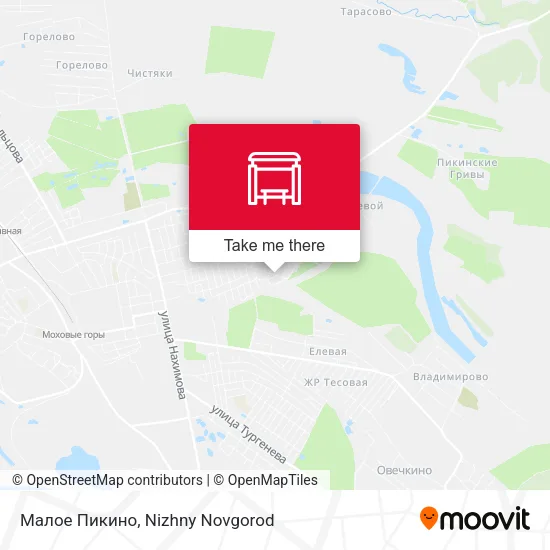 Малое Пикино map