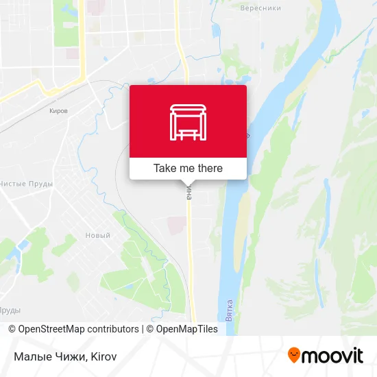 Малые Чижи map