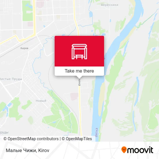 Малые Чижи map