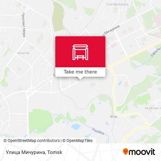 Улица Мичурина map