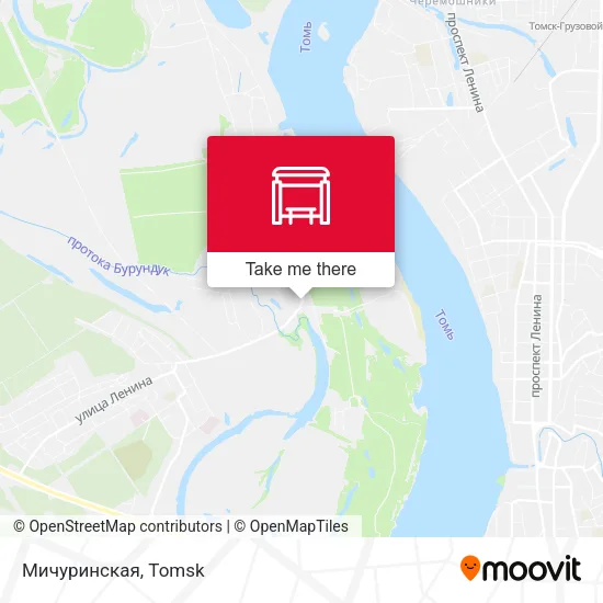 Мичуринская map