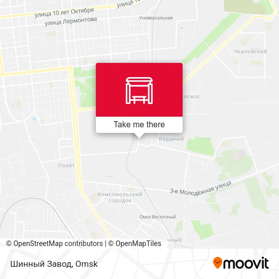 Шинный Завод map
