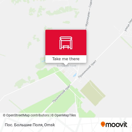 Пос. Большие Поля map