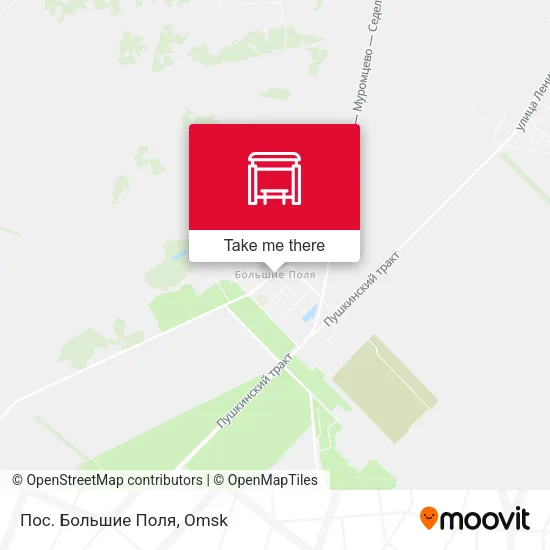 Пос. Большие Поля map