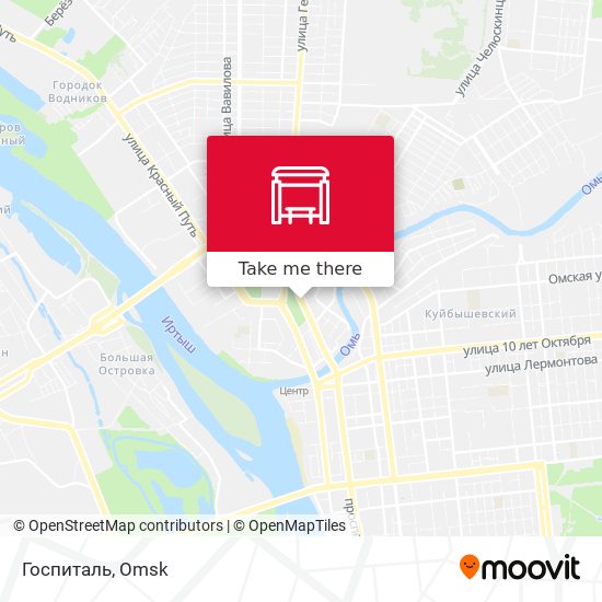 Госпиталь map