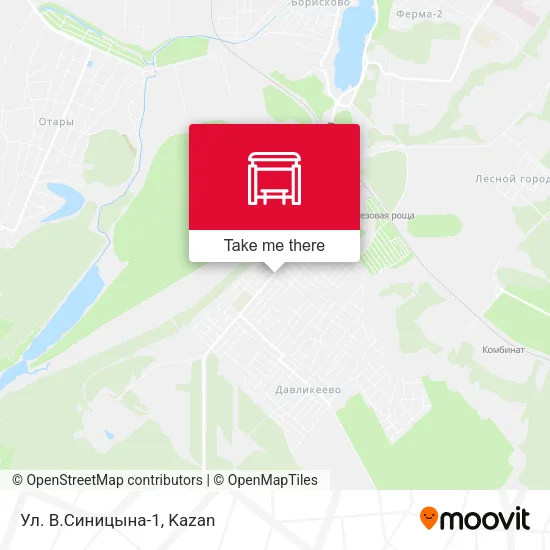Ул. В.Синицына-1 map