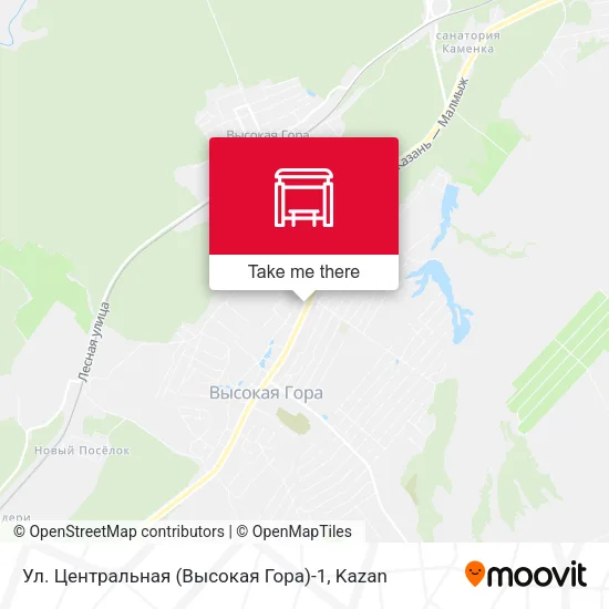 Ул. Центральная (Высокая Гора)-1 map