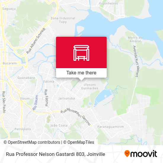 Rua Professor Nelson Gastardi 803 map