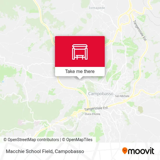 Macchie School Field map