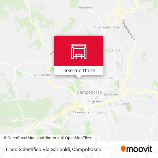 Liceo Scientifico Via Garibaldi map