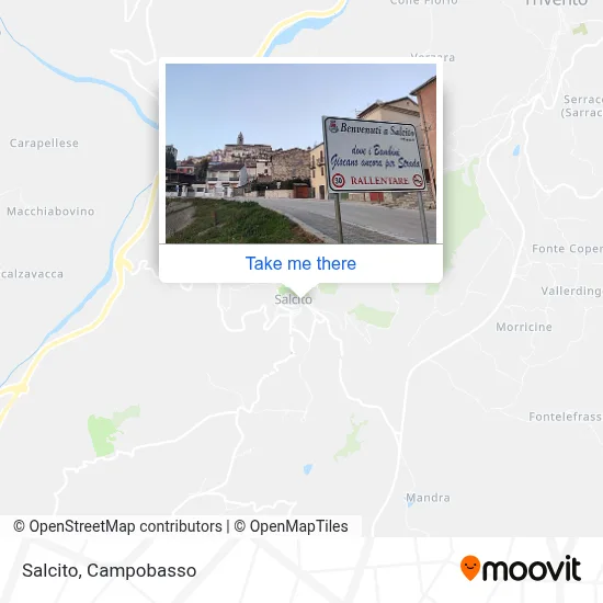 Salcito map