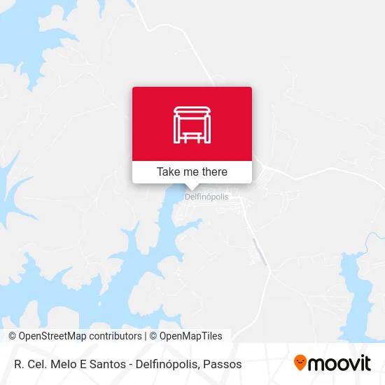 R. Cel. Melo E Santos - Delfinópolis map