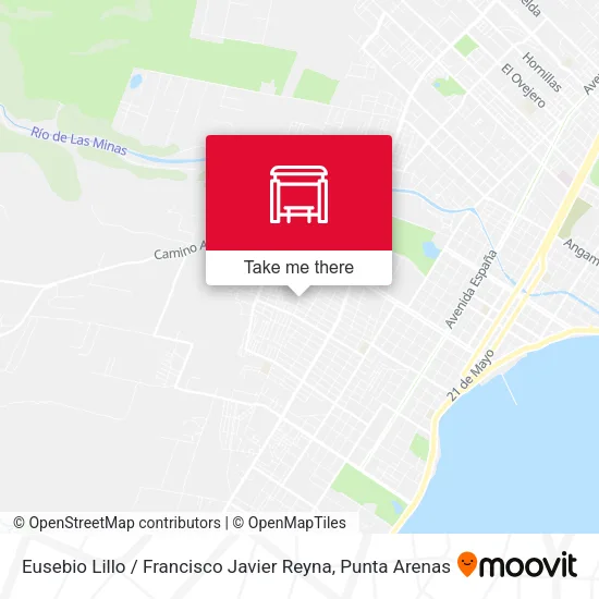 Mapa de Eusebio Lillo / Francisco Javier Reyna