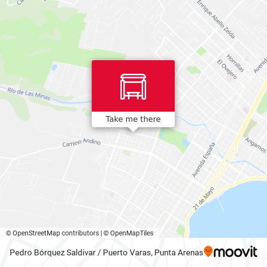 Pedro Bórquez Saldivar / Puerto Varas map