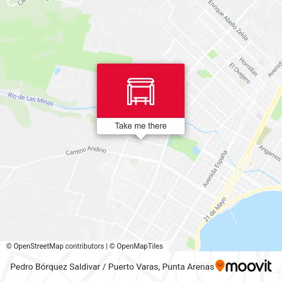 Mapa de Pedro Bórquez Saldivar / Puerto Varas