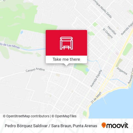 Mapa de Pedro Bórquez Saldivar / Sara Braun