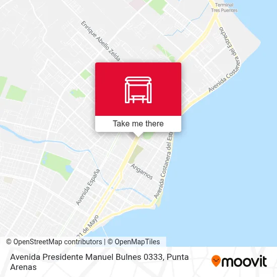 Avenida Presidente Manuel Bulnes 0333 map