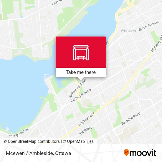 Mcewen / Ambleside map