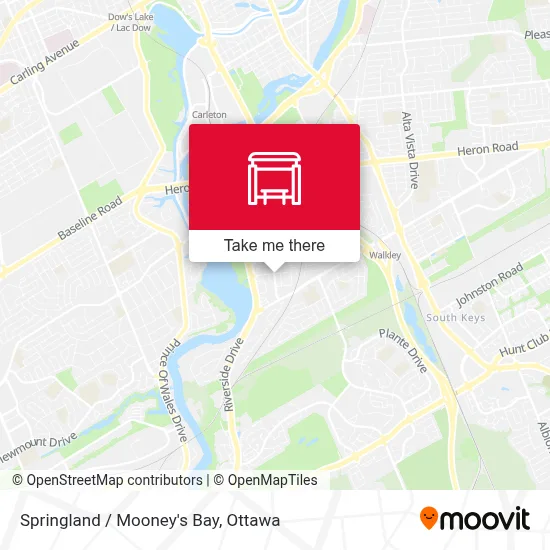 Springland / Mooney's Bay map