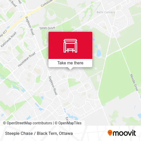 Steeple Chase / Black Tern map