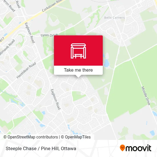 Steeple Chase / Pine Hill map
