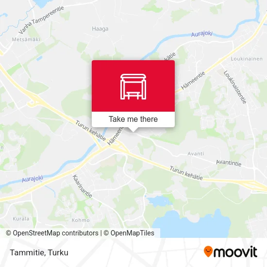 Tammitie map