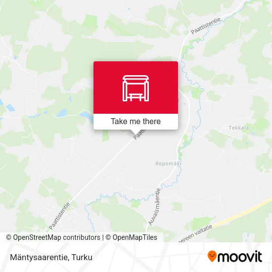 Mäntysaarentie map
