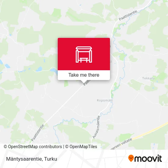 Mäntysaarentie map