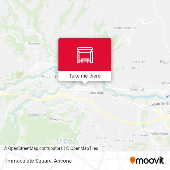 Immaculate Square map