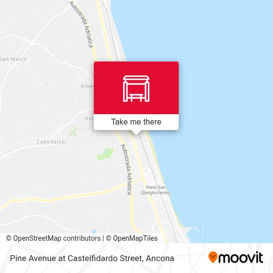 Pine Avenue at Castelfidardo Street map