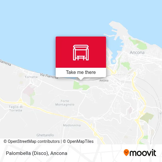 Palombella (Disco) map