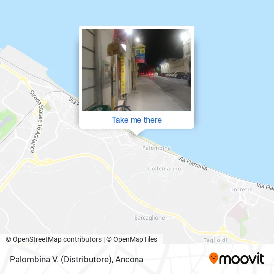 Palombina V. (Distributore) map