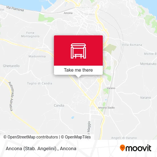 Ancona (Stab. Angelini). map