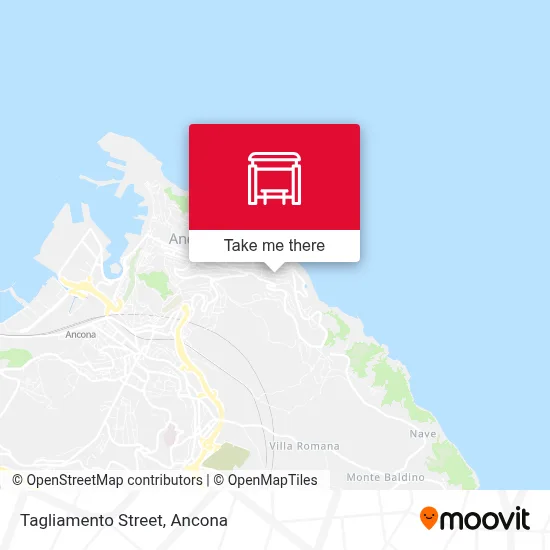 Tagliamento Street map